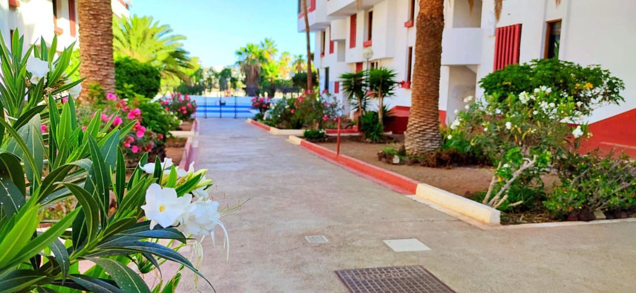 Playa De Americas 600mt From The Internet Free Apartment Playa de las Americas (Tenerife)